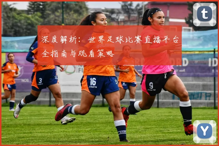 深度解析：世界足球比赛直播平台全指南与观看策略